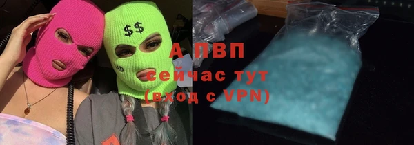 стаф Алексеевка