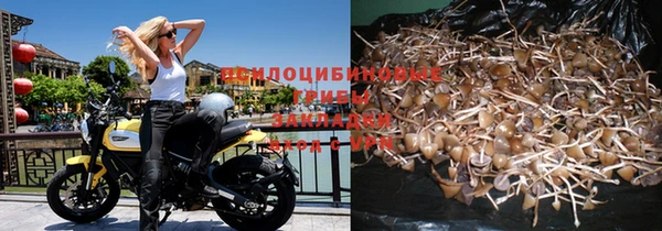 кокаин колумбия Алексин