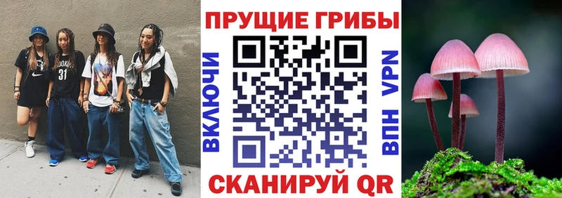 купить   Алексин  Псилоцибиновые грибы мицелий 